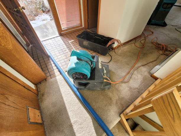  Monmouth Beach, NJ Water damage restoration Pros